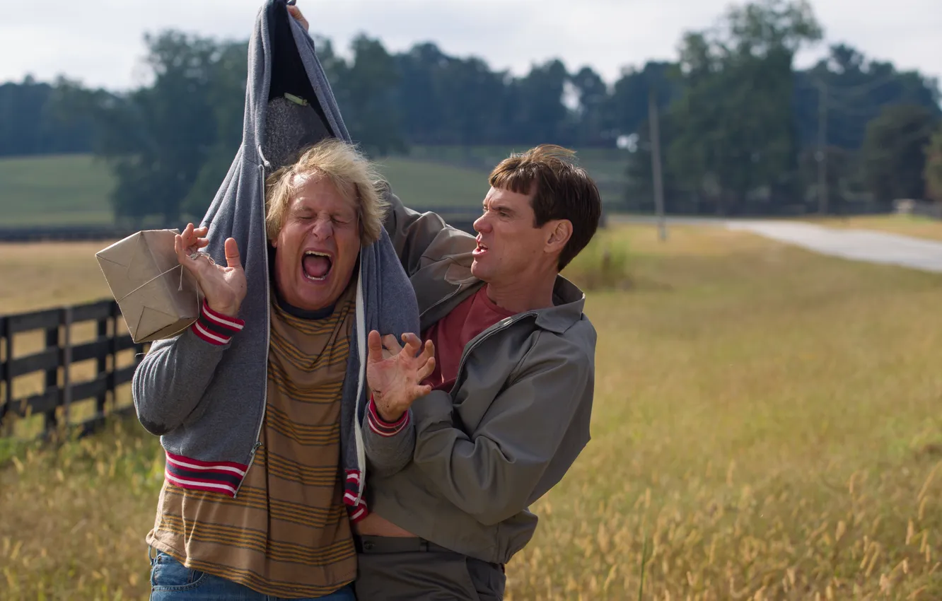 Фото обои Jim Carrey, Jeff Daniels, Dumb and Dumber To, Тупой и еще тупее 2