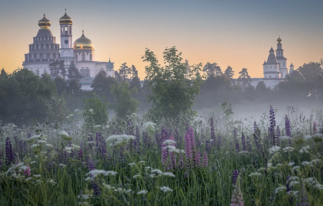 Фото обои пейзаж, природа, туман, рассвет, утро, травы, Елена Гусева, Ново-Иерусалимский монастырь