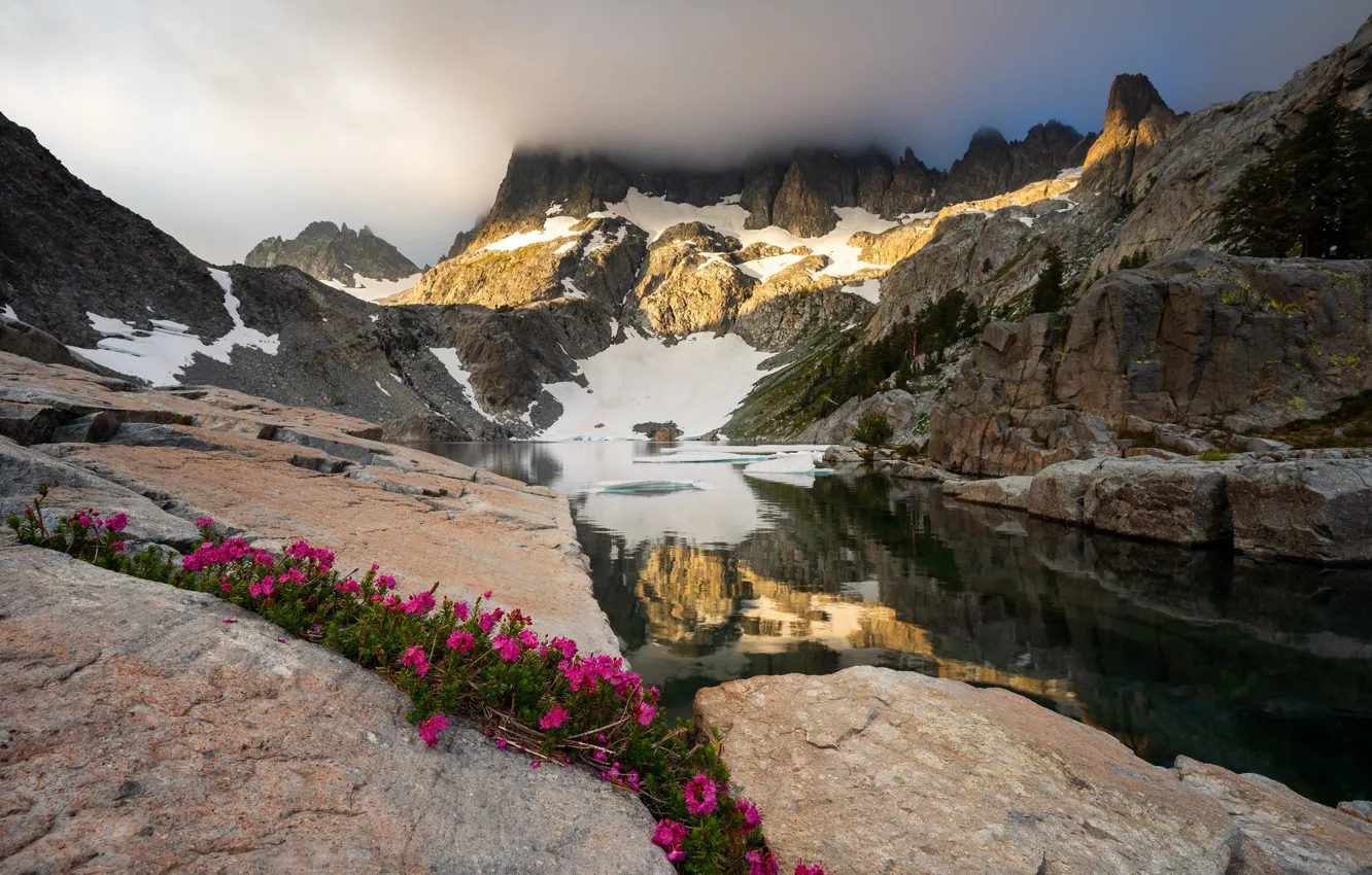Фото обои цветы, горы, озеро, камни, скалы