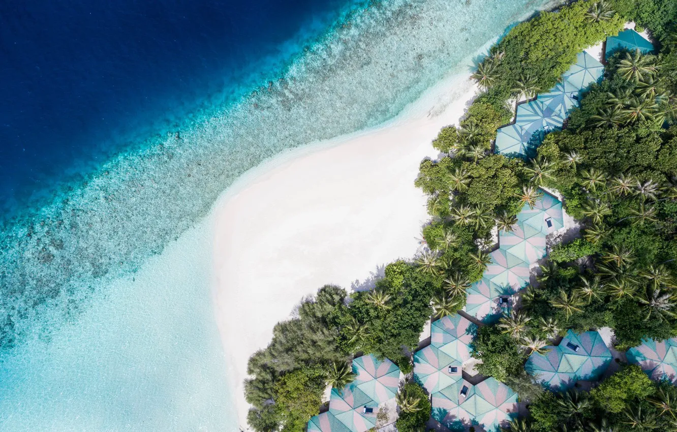 Фото обои пляж, пальмы, океан, сверху, Мальдивы, курорт, Maldives, Embudu Village