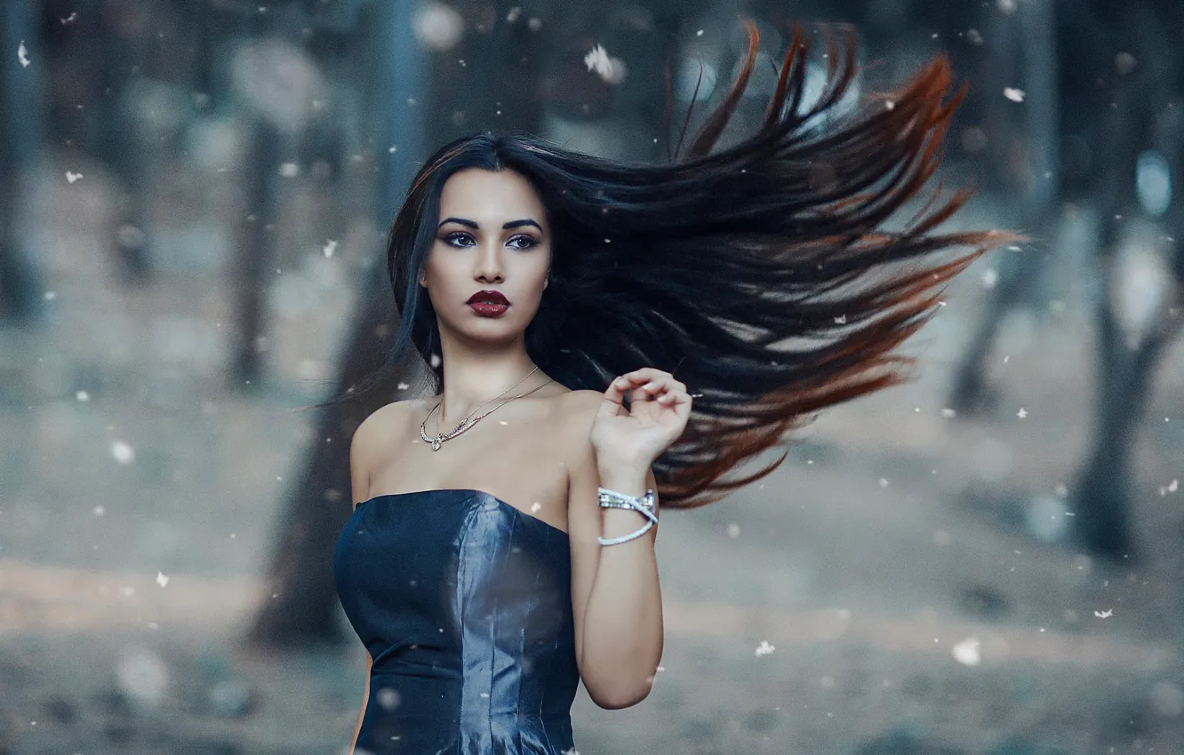 Фото обои девушка, ветер, волосы, макияж, Alessandro Di Cicco, The cold woods