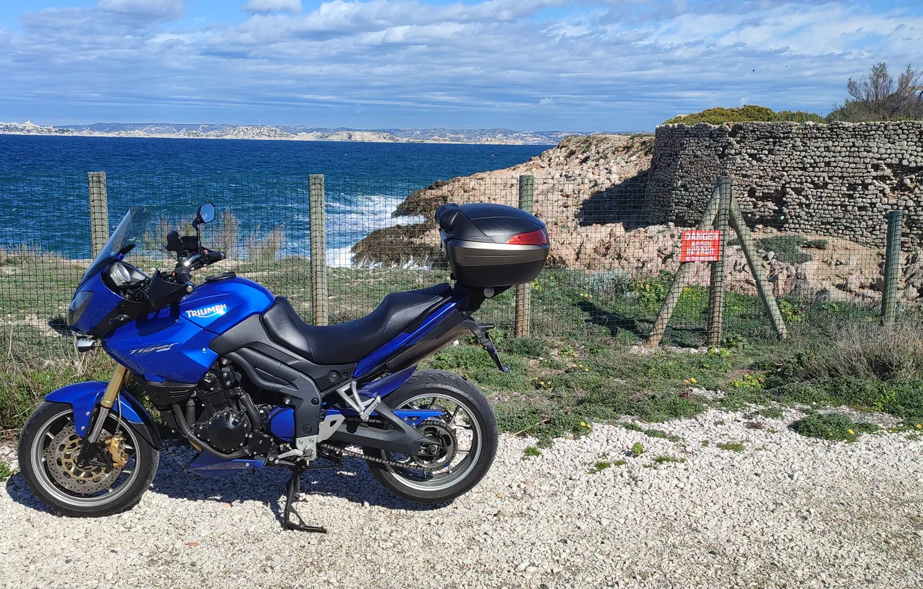 Фото обои marseille, Marseille, tiger • triumph • 1050