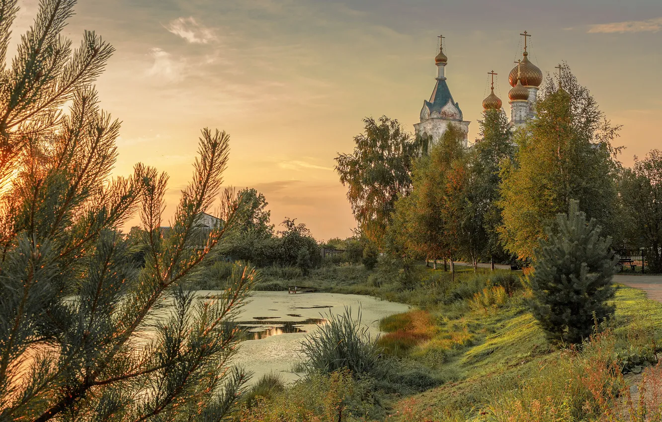 Фото обои пейзаж, природа, пруд, село, церковь, Елена Гусева, Жестылево