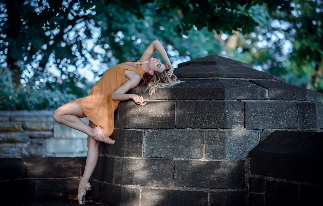 Фото обои девушка, поза, фон