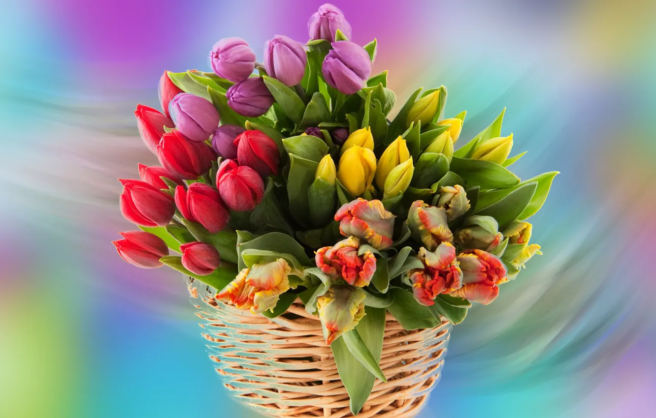 Фото обои Tulipany, Kwiaty, Bukiet