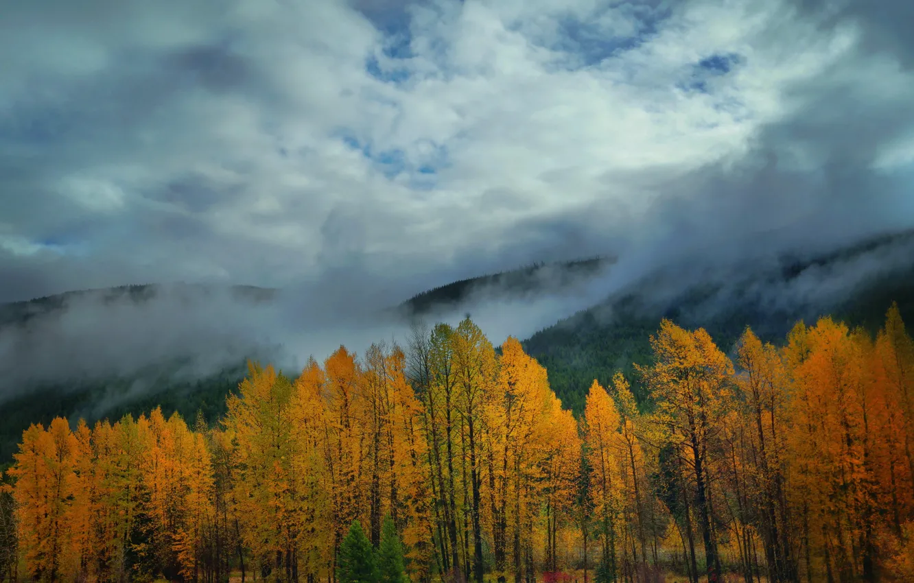 Фото обои осень, облака, деревья, горы