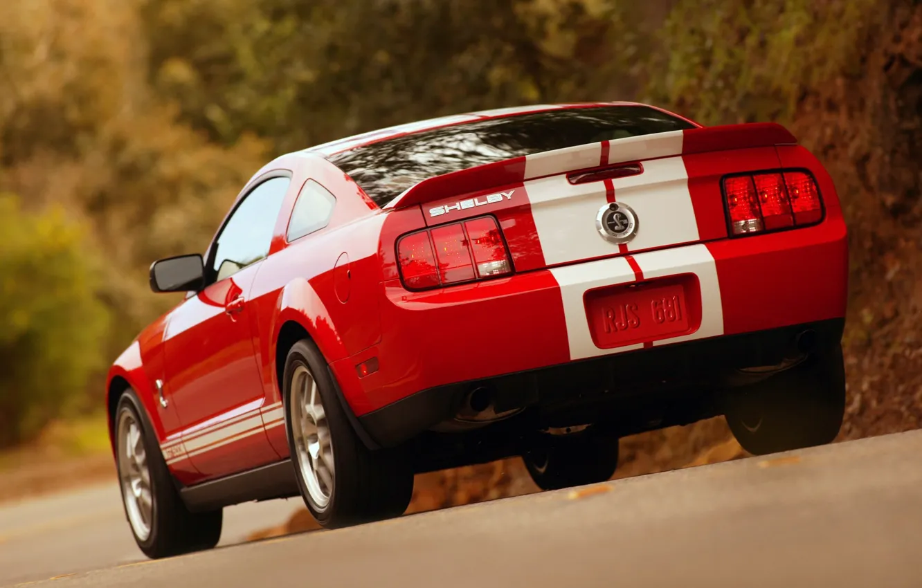 Фото обои Shelby, GT500, Cobra