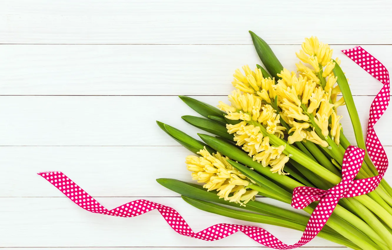 Фото обои цветы, букет, желтые, лента, yellow, flowers, ribbon, гиацинты