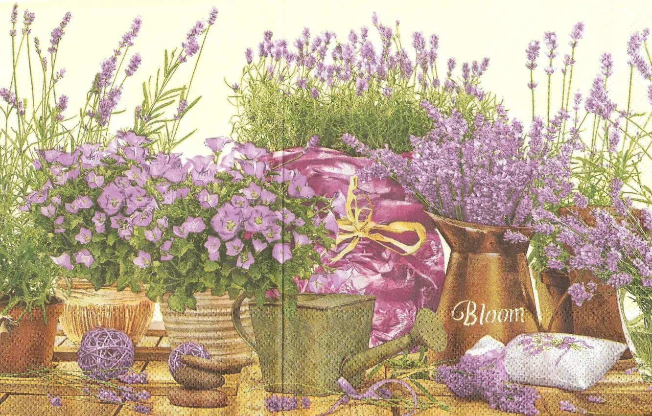 Фото обои фиолетовый, колокольчики, лаванда, Сиреневые цветы