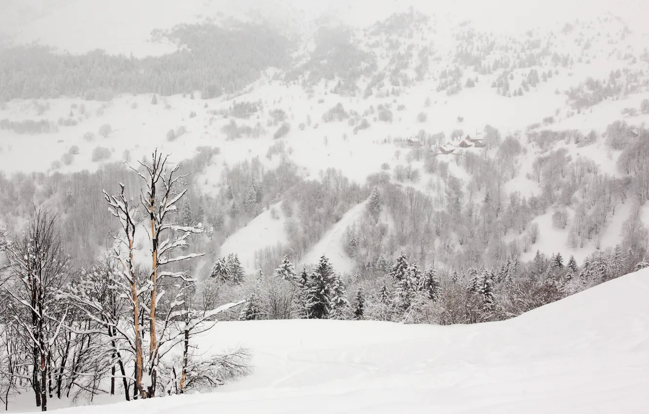 Фото обои зима, снег, деревья, пейзаж, природа
