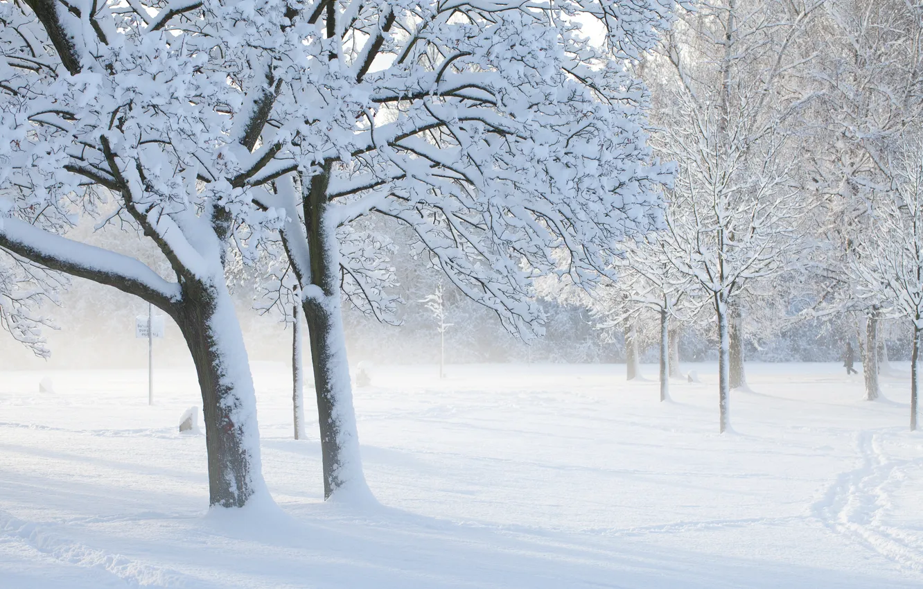 Фото обои зима, иней, снег, деревья, парк, след, прохожий, солнечный денёк