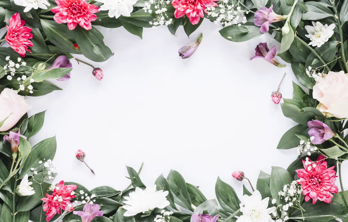 Фото обои цветы, рамка, colorful, pink, flowers, frame, floral