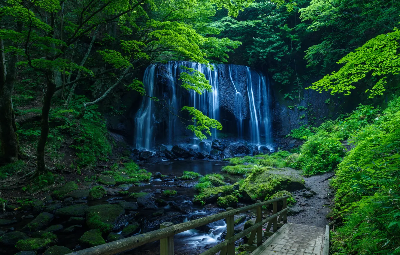 Фото обои зелень, лес, деревья, скала, ручей, камни, водопад, мох