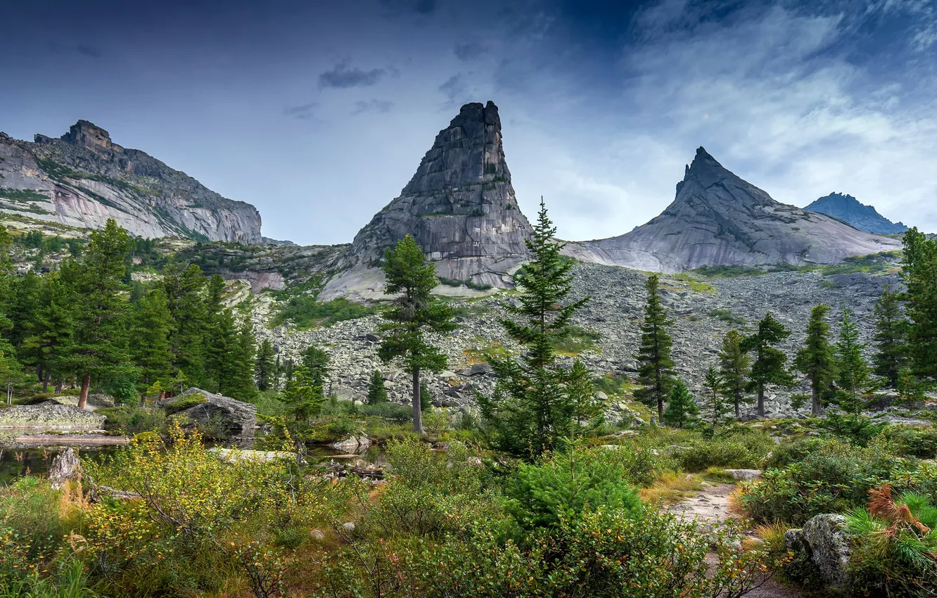 Фото обои деревья, Скалы, Озеро, Сосны, trees, Rocks, Lake, Pine