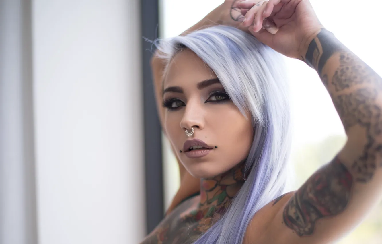 Фото обои взгляд, милая, пирсинг, татуировки, tattoo, Suicide Girls, Fishball Suicide, пурпурные волосы