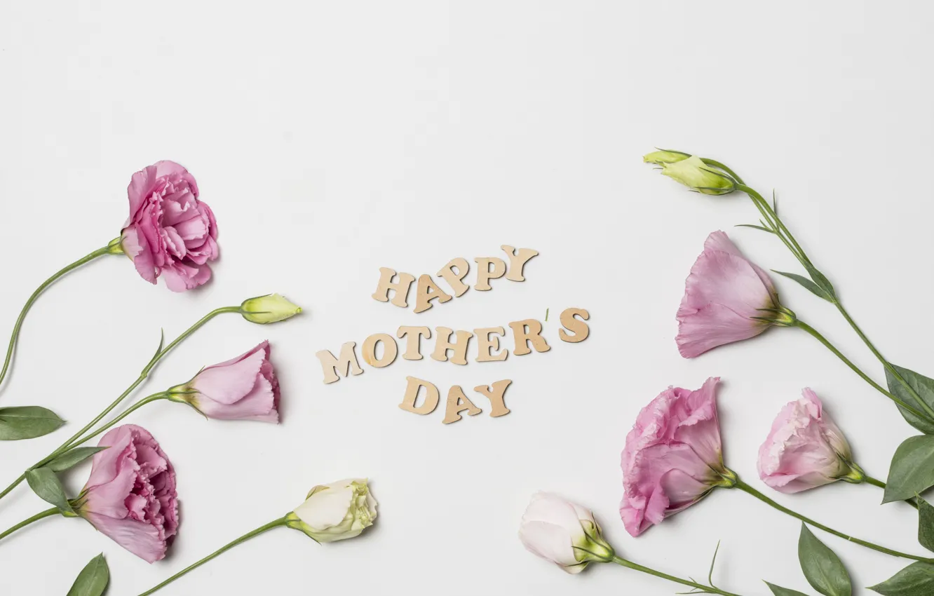 Фото обои цветы, happy, pink, flowers, эустома, mother's day, eustoma