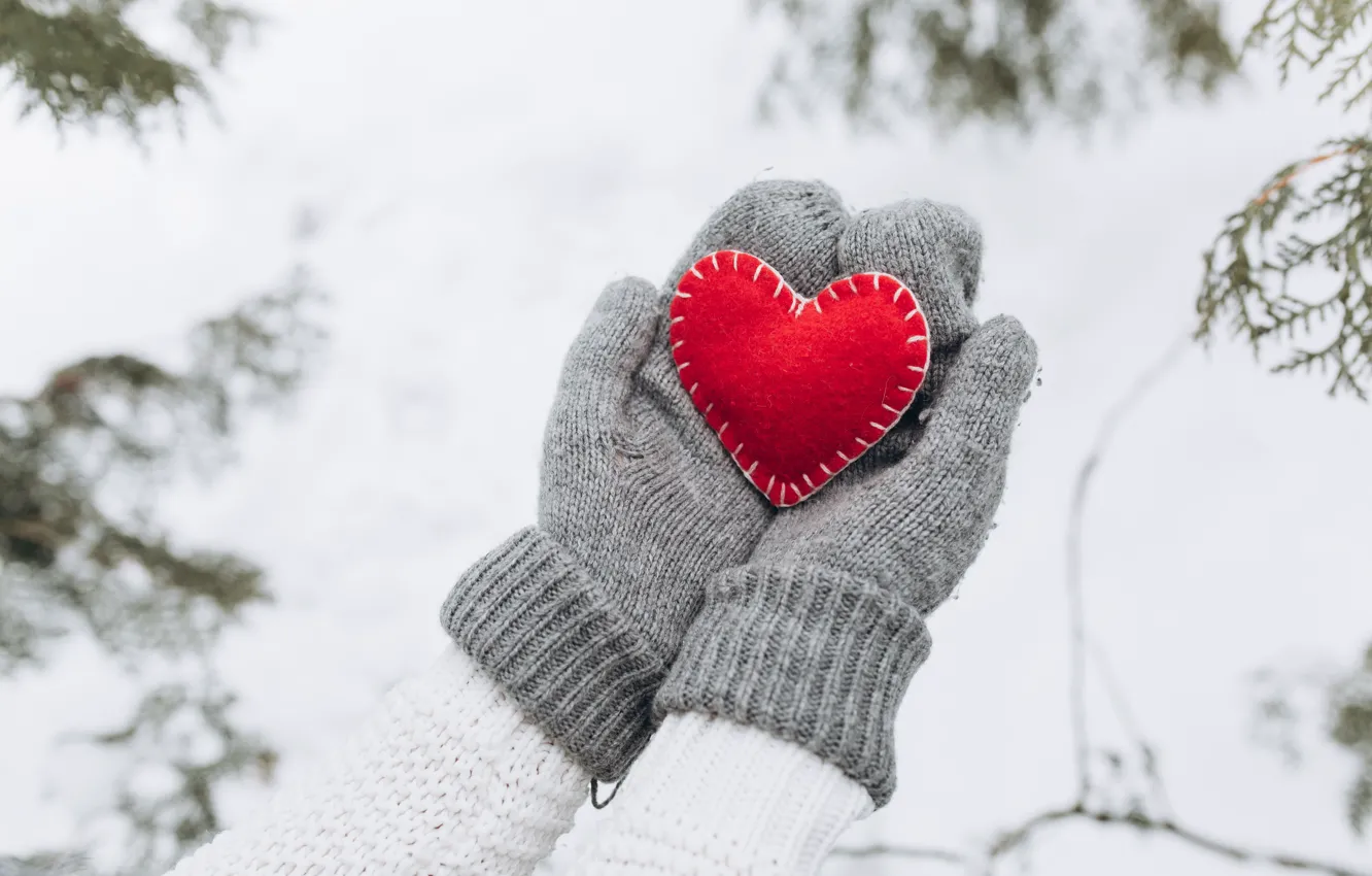 winter-hands-love-elka-romantic-valentine-liubov-zima-fir-tr.jpg