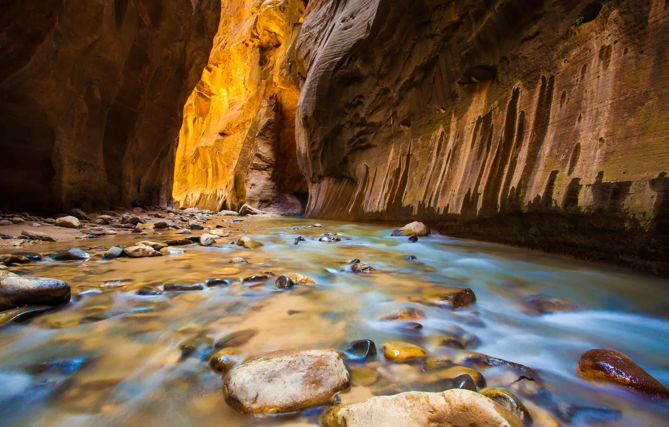 Фото обои река, камни, скалы, ущелье, США, Zion National Park, Utah, национальный парк Зион