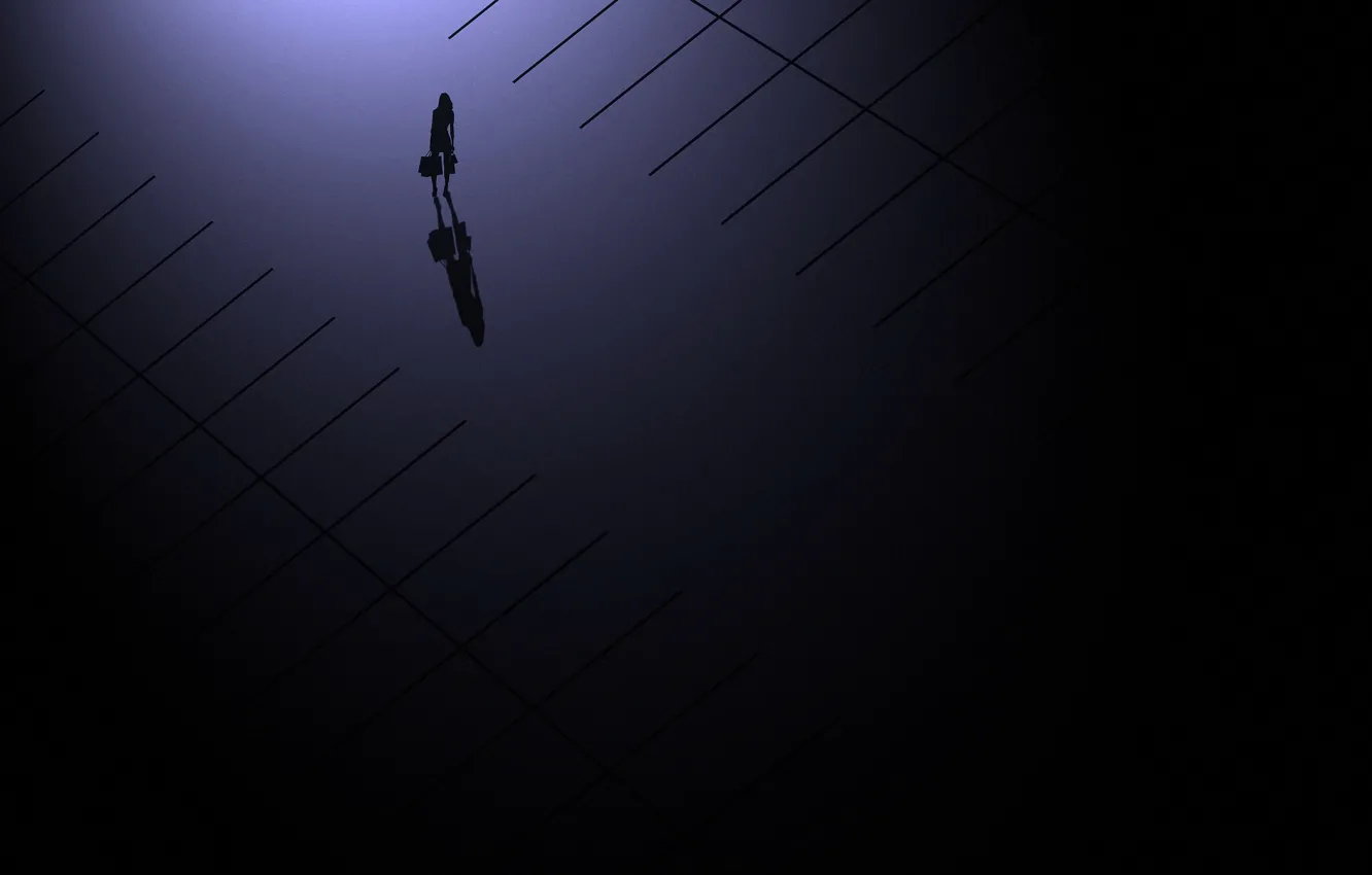 Фото обои девушка, тень, силуэт