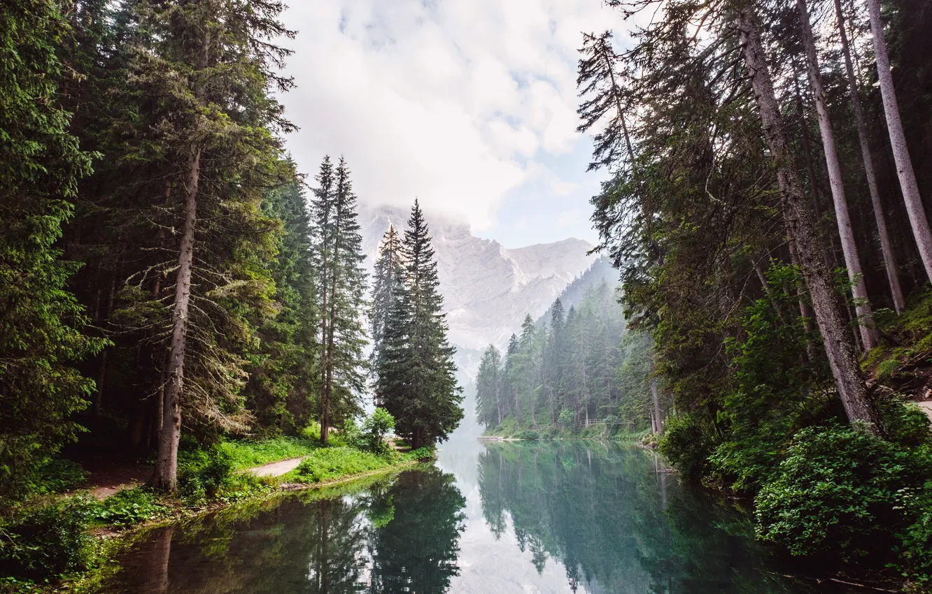 Фото обои лес, вода, облака, деревья, горы, отражение, река, скалы