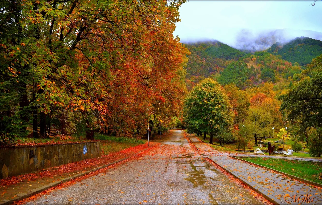 Фото обои Дорога, Осень, Деревья, Fall, Autumn, Colors, Road, Trees