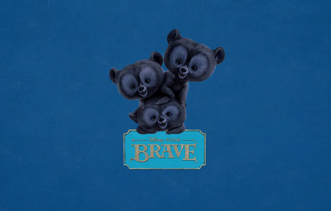 Фото обои надпись, табличка, три, медвежата, трое, синий фон, Храбрая сердцем, Brave
