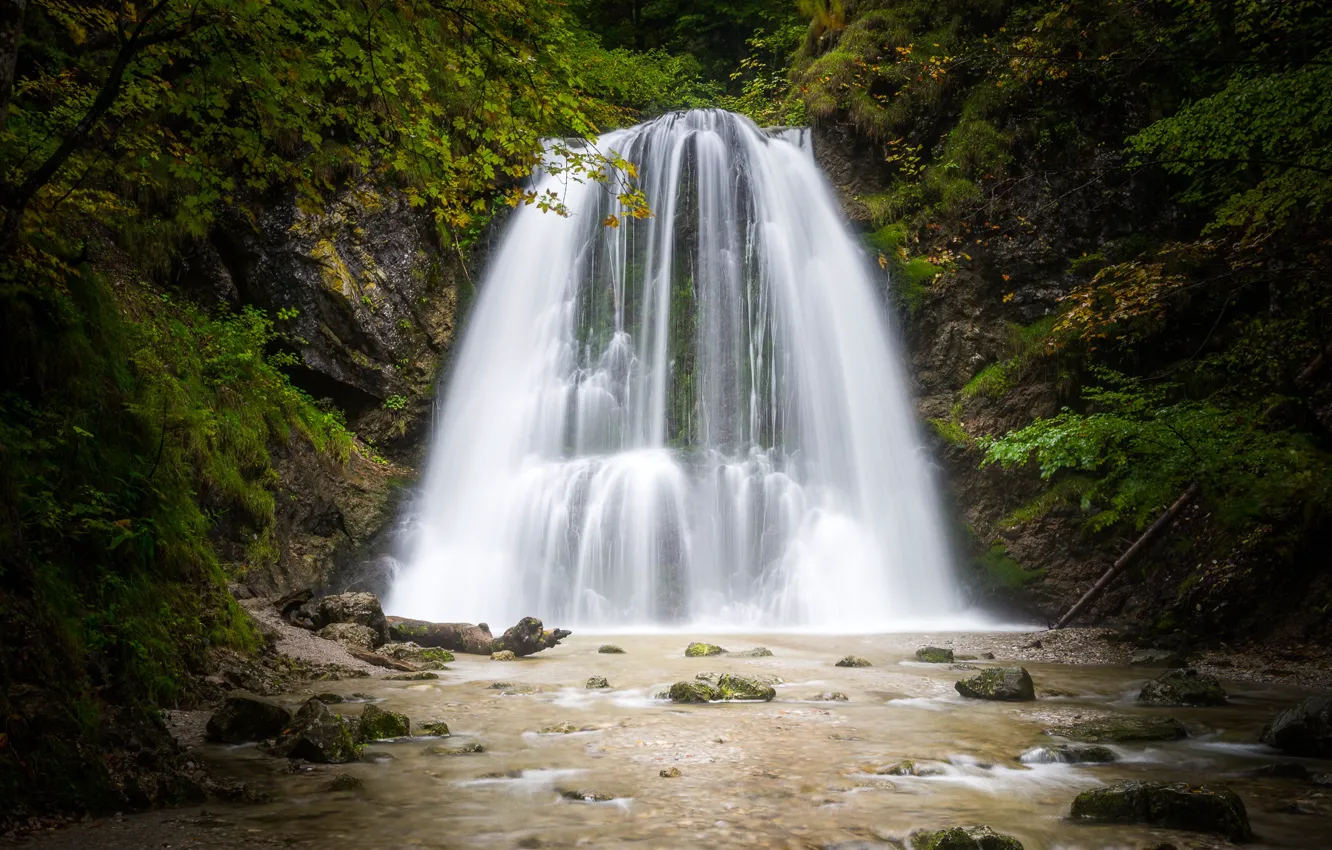 Фото обои лес, деревья, ручей, камни, водопад