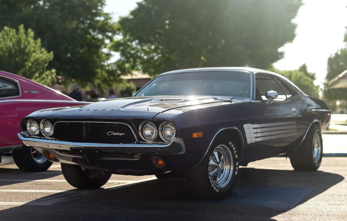 Фото обои Dodge, Challenger, мускул кар, 1973