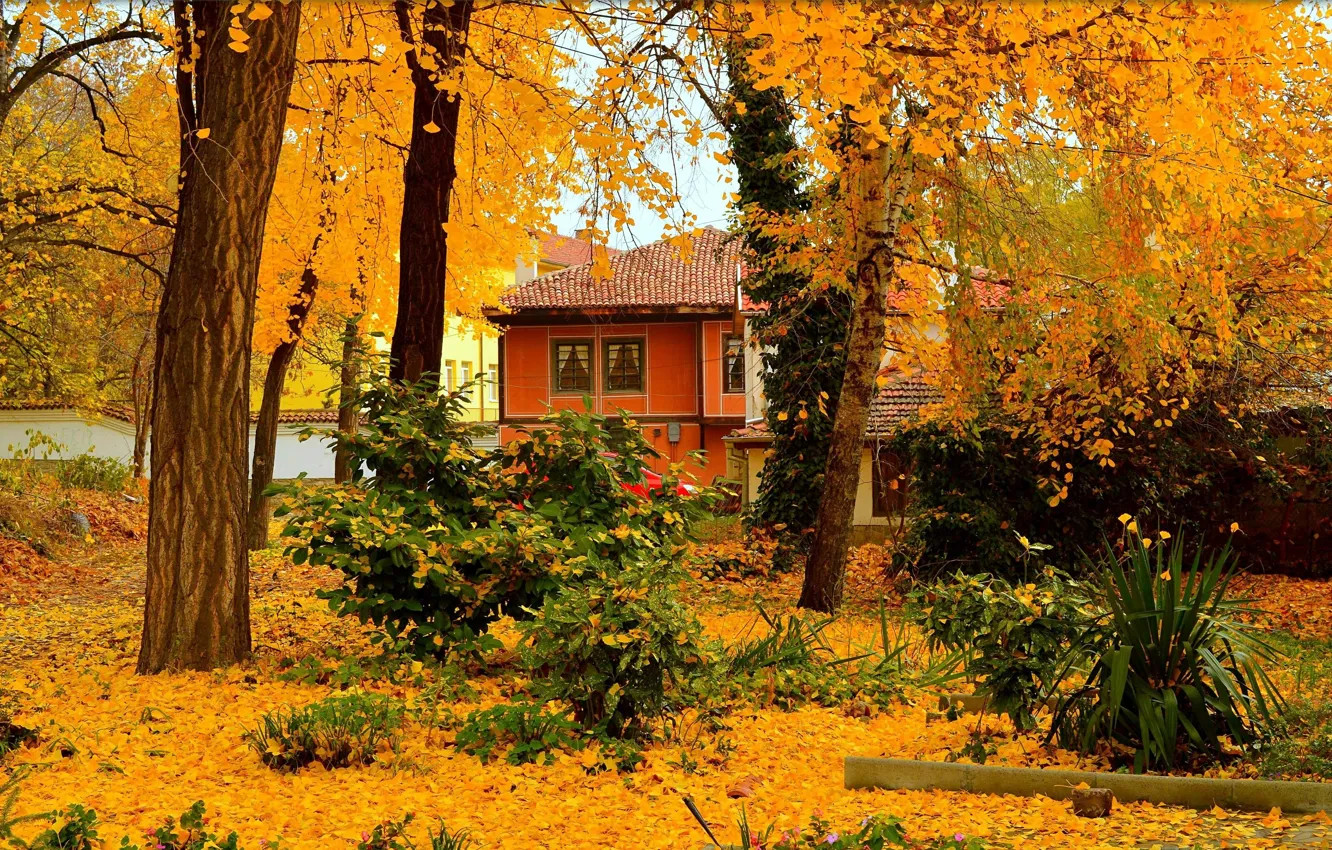 Фото обои Осень, Деревья, Дом, House, Fall, Листва, Autumn, Trees