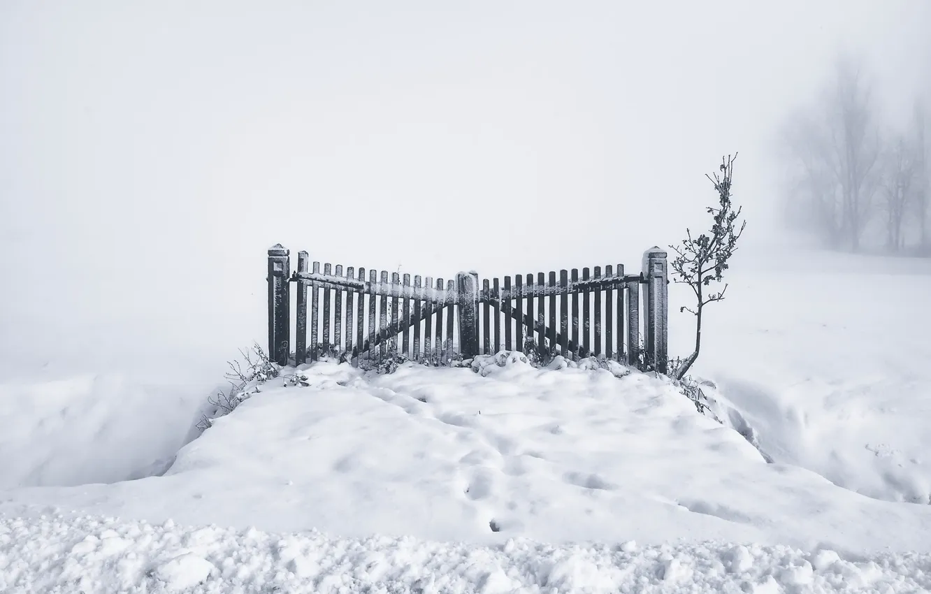 Фото обои зима, снег, туман, ворота