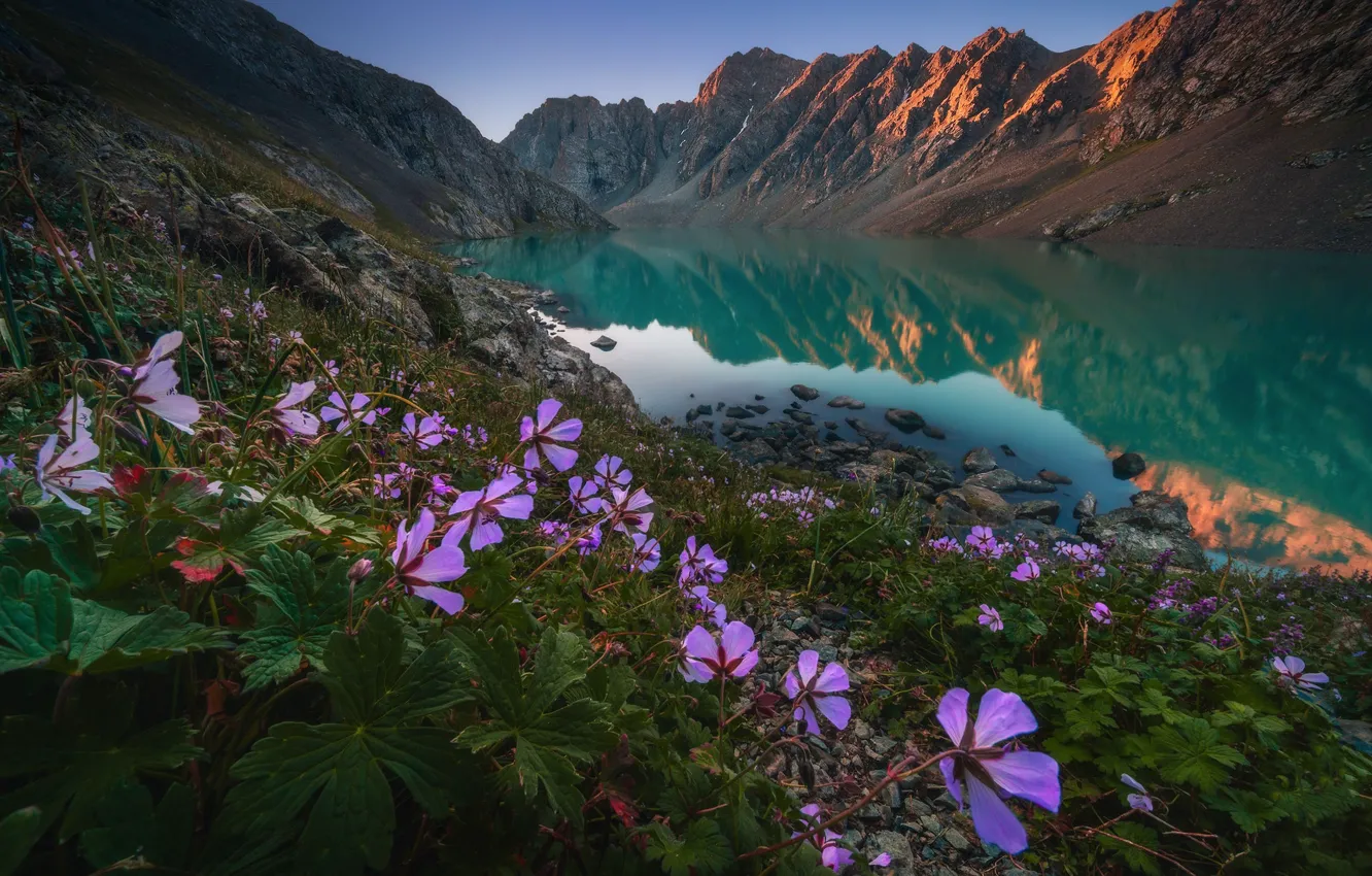 Фото обои небо, цветы, горы, озеро, отражение, скалы
