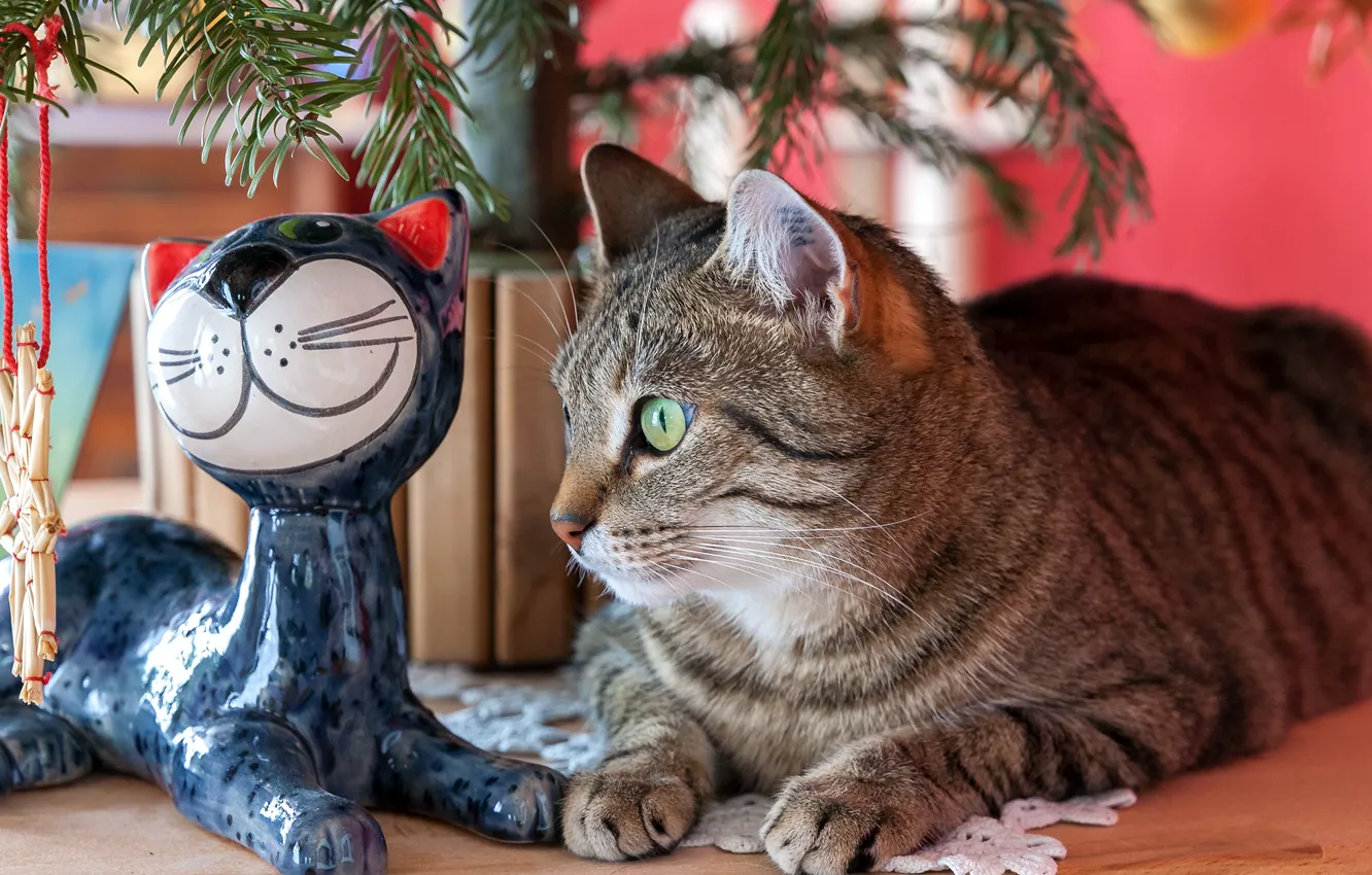Фото обои глаза, кот, елка, статуэтка, полосатый