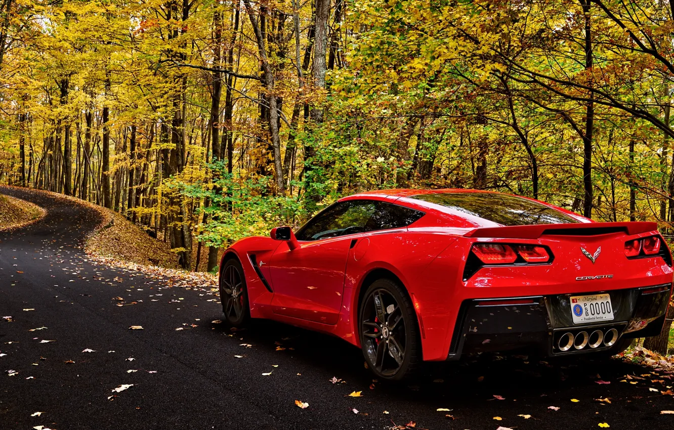 Фото обои дорога, car, осень, лес, листья, деревья, corvette, forest