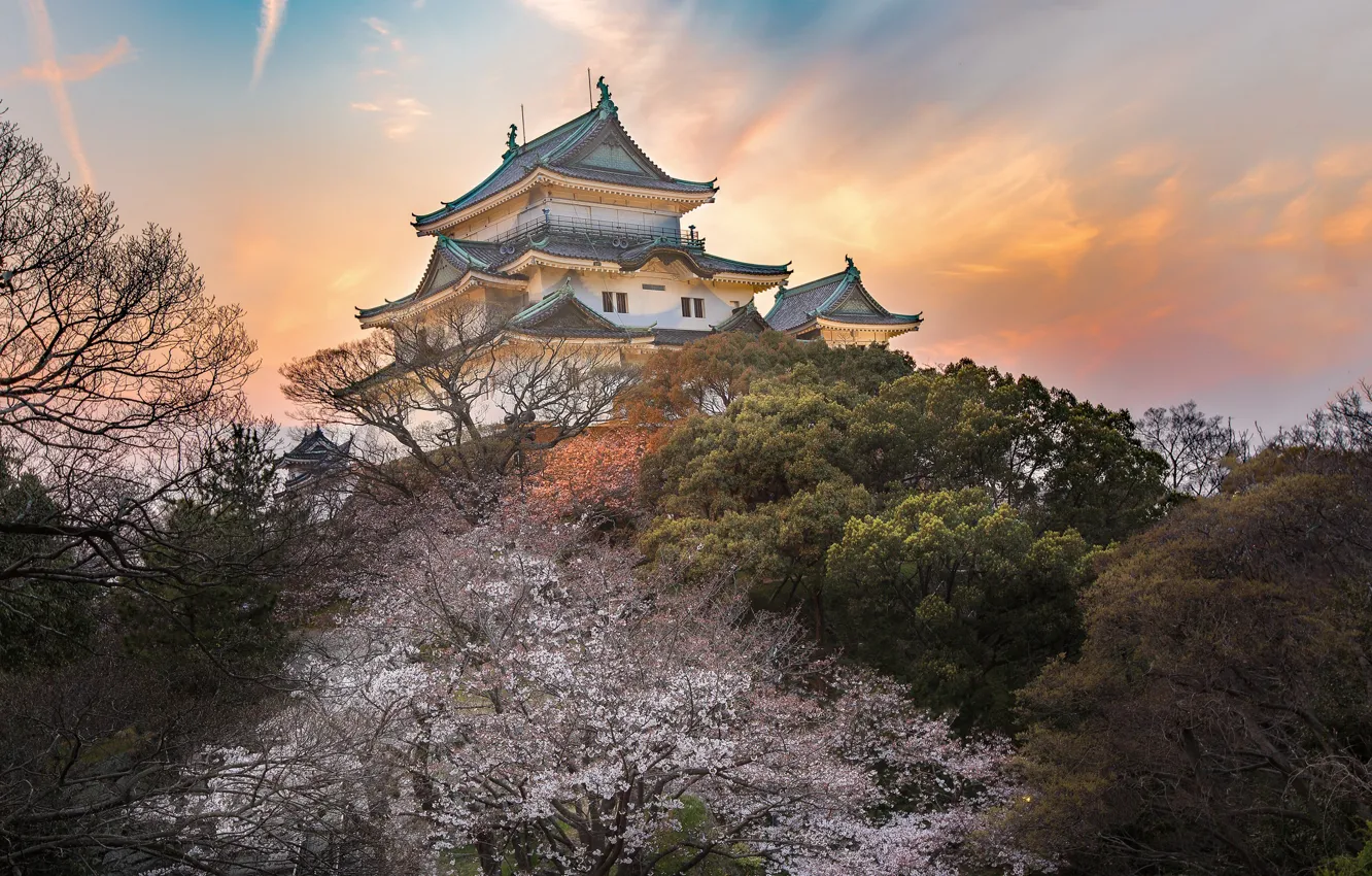 Фото обои замок, весна, Япония, сад, сакура
