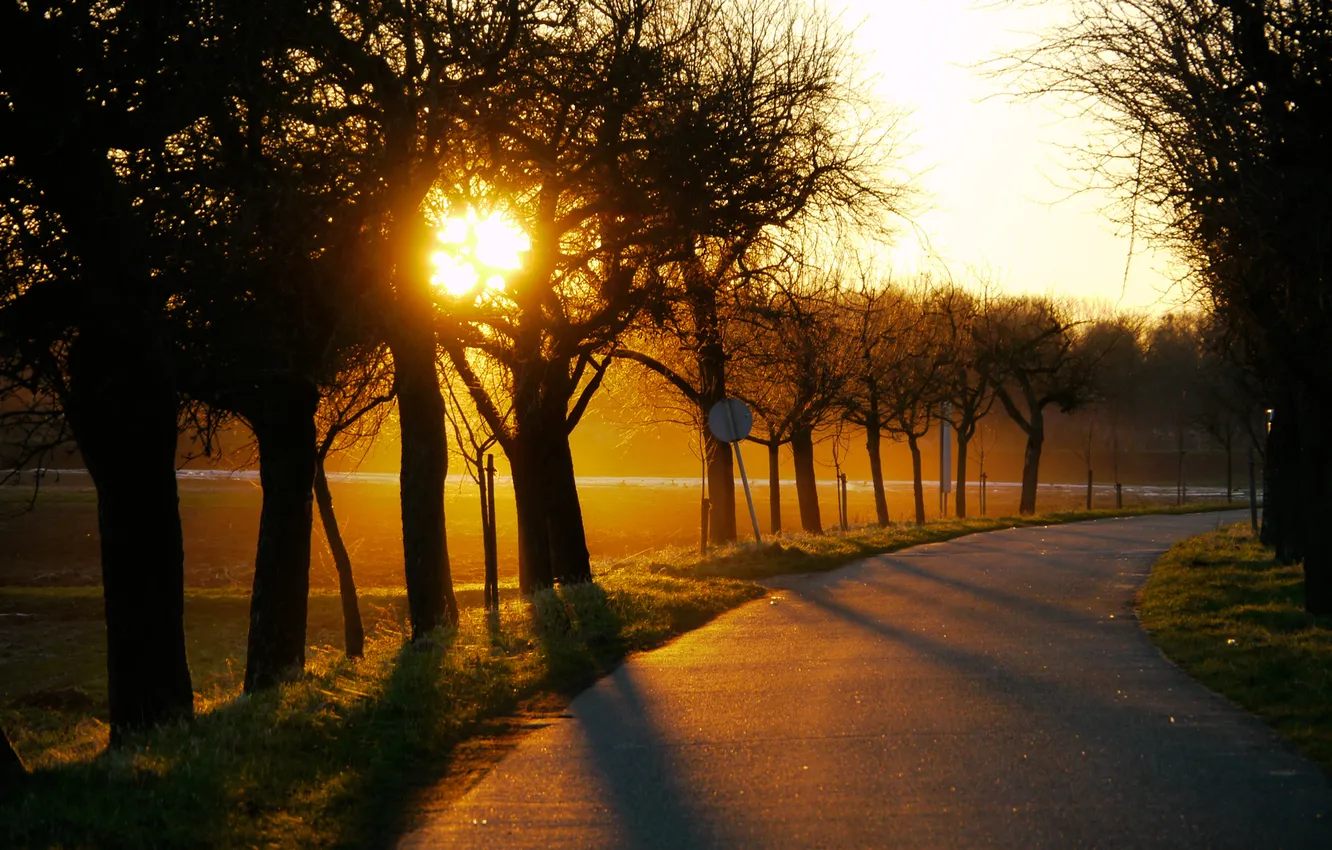 Фото обои дорога, солнце, деревья, закат, поля, вечер, поворот, красиво