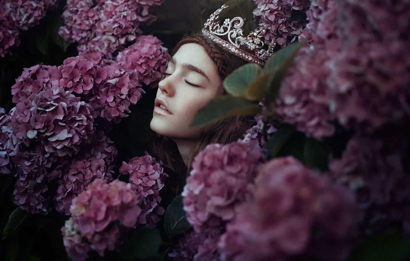 Фото обои девушка, цветы, лицо, настроение, корона, гортензия, Bella Kotak, A new day whispers