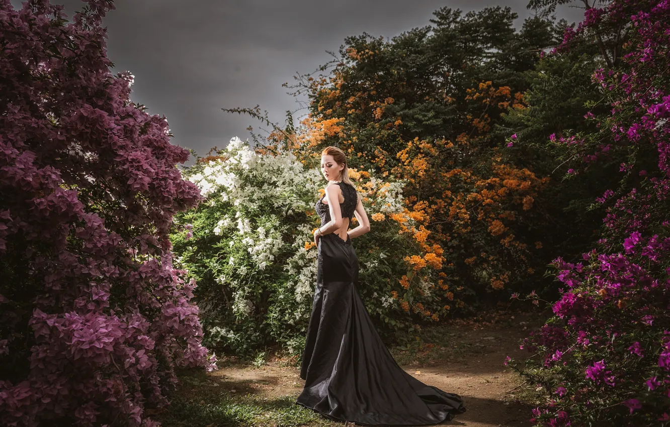 Фото обои девушка, стиль, платье, кусты, гуляет