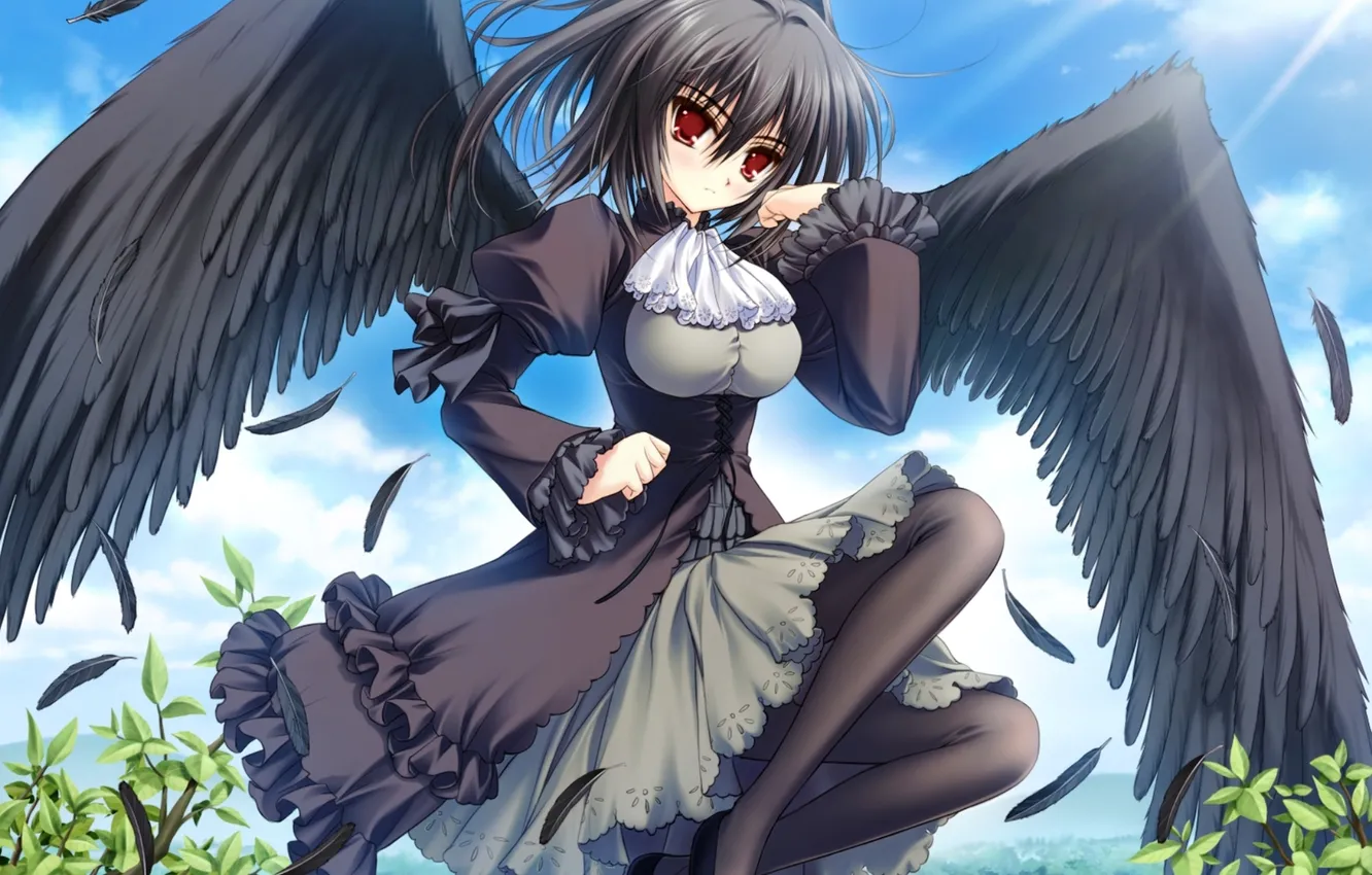 Фото обои лето, солнце, девушка ангел с черными крыльями