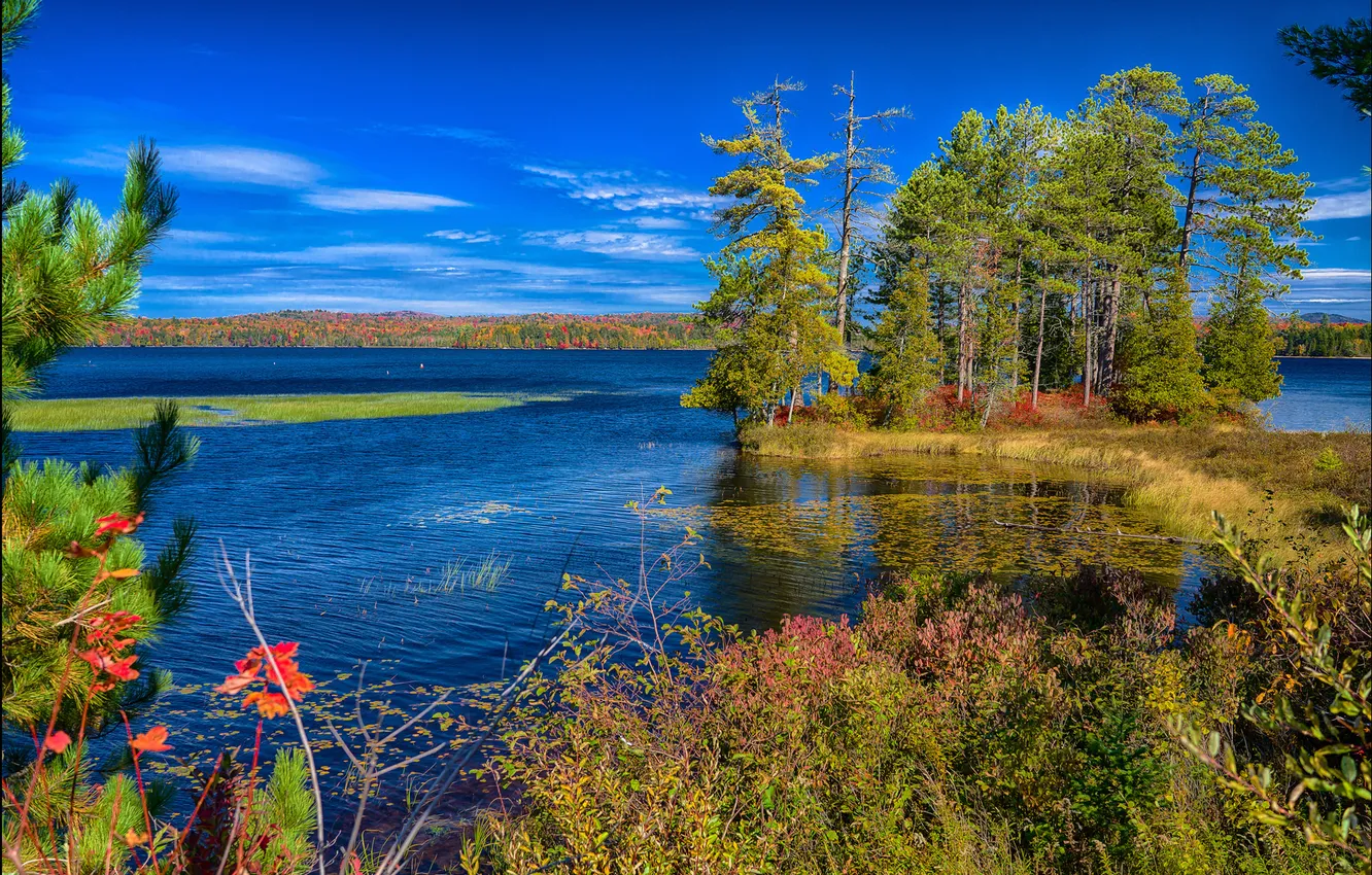 Фото обои осень, деревья, озеро, США, штат Нью-Йорк