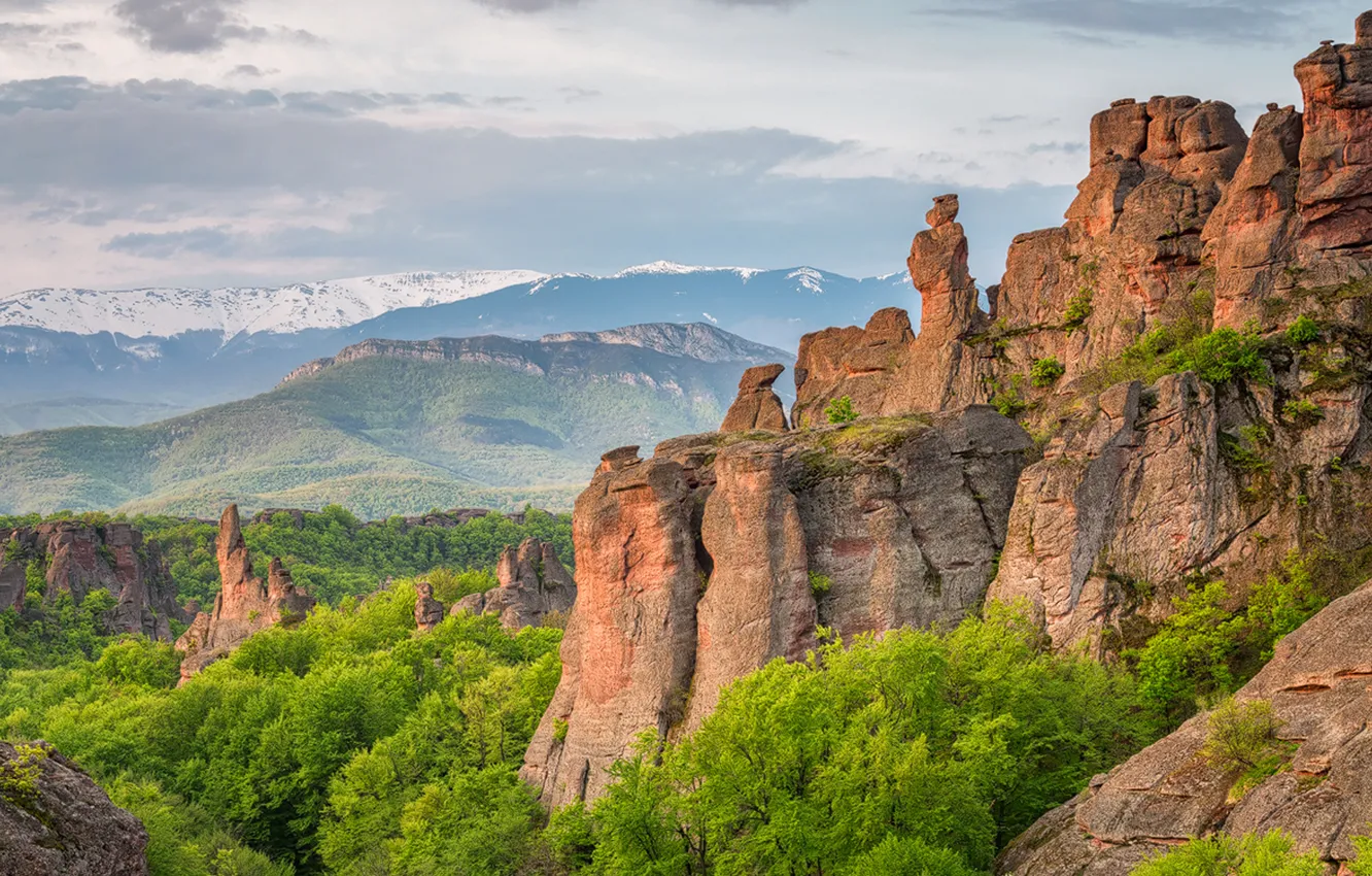 Фото обои лес, небо, облака, деревья, пейзаж, горы, природа, скалы
