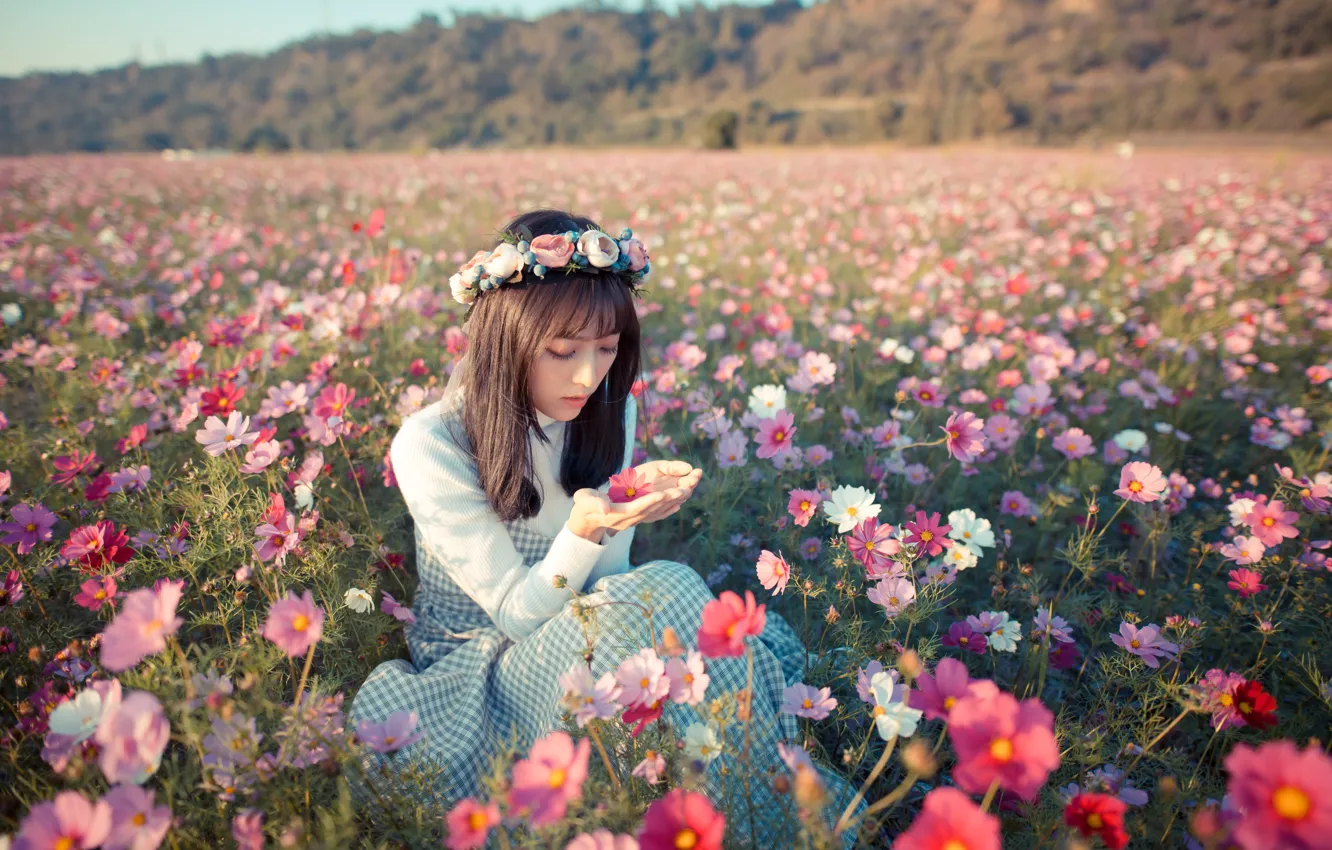 Фото обои поле, девушка, цветы, настроение, луг, азиатка, венок, космея