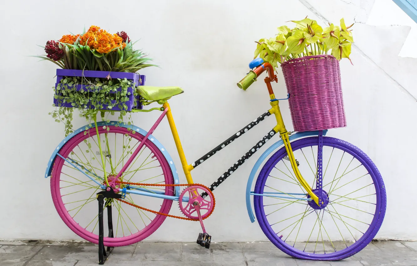 Фото обои цветы, велосипед, ретро, букет, flowers, флористика