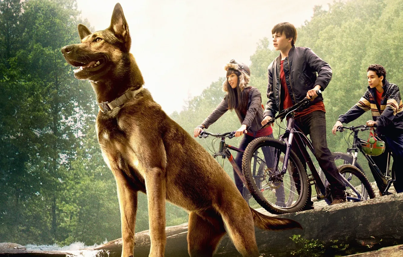 Фото обои cinema, girl, forest, puppy, bike, trees, dog, rocks