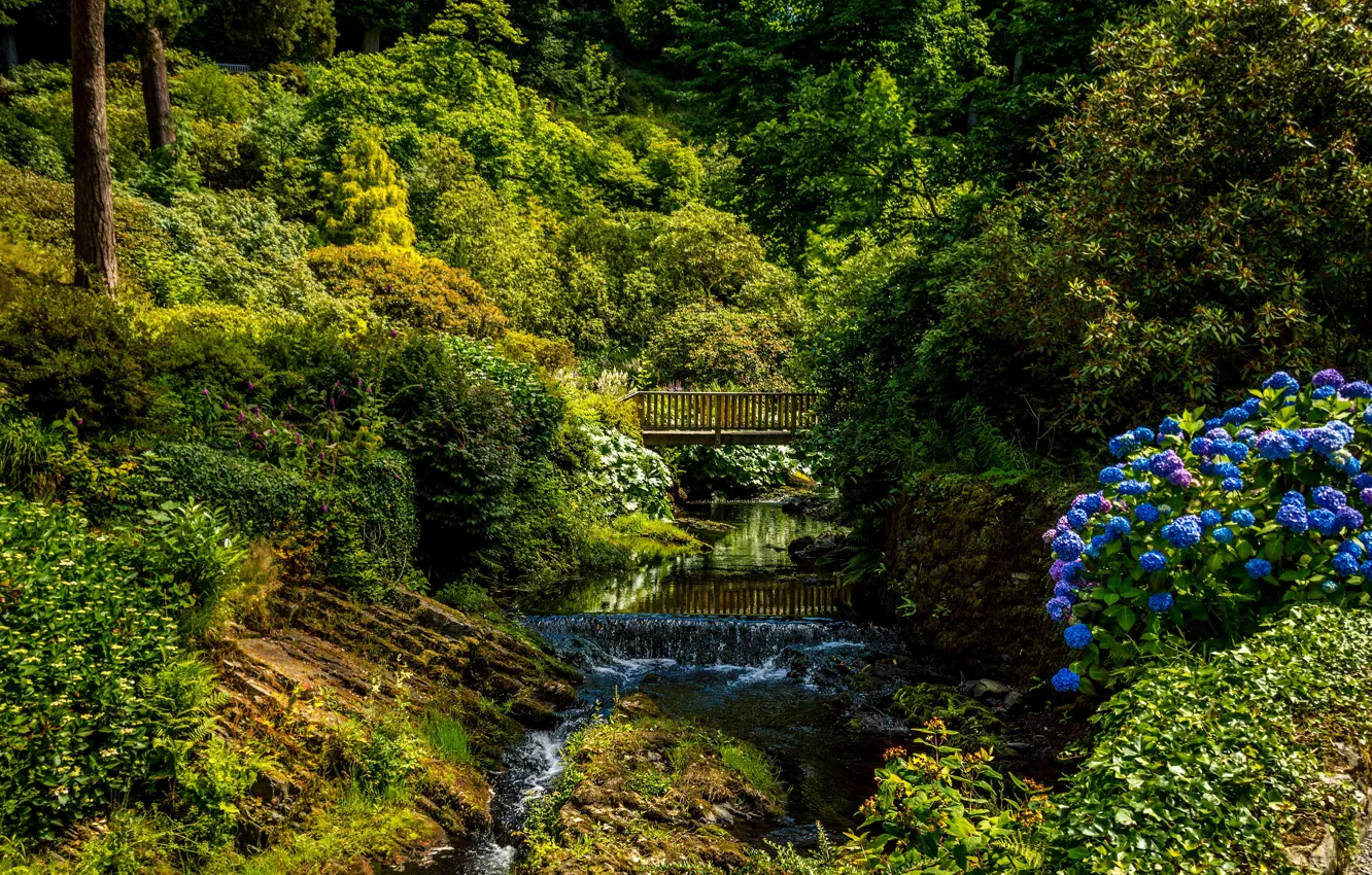 Фото обои зелень, деревья, мост, парк, ручей, Великобритания, кусты, Wales