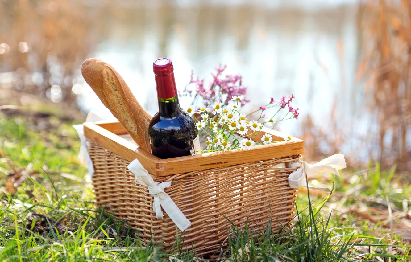 Фото обои природа, вино, красное, корзина, бутылка, ромашки, пикник, багет