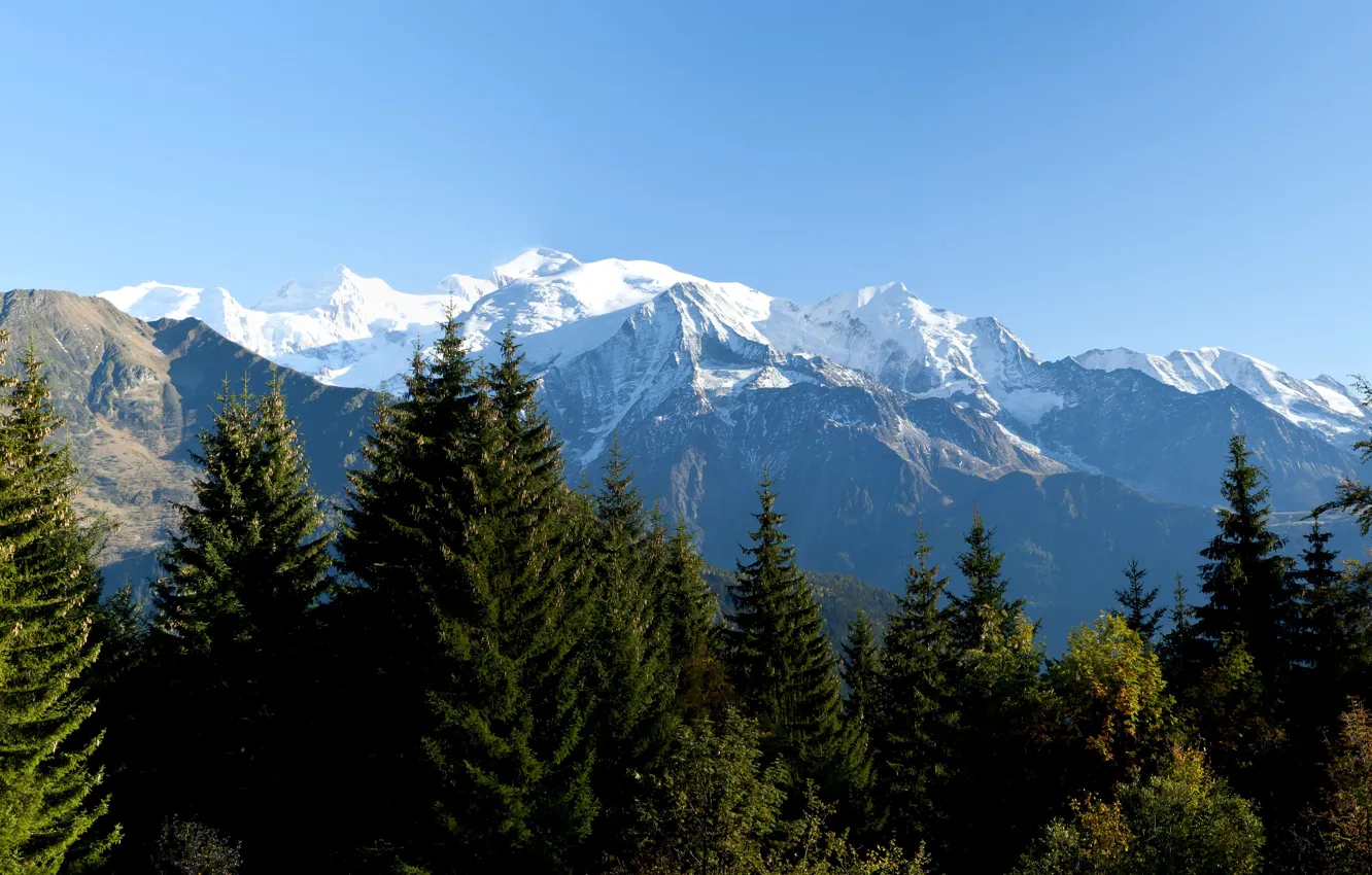 Фото обои горы, Альпы, сосны