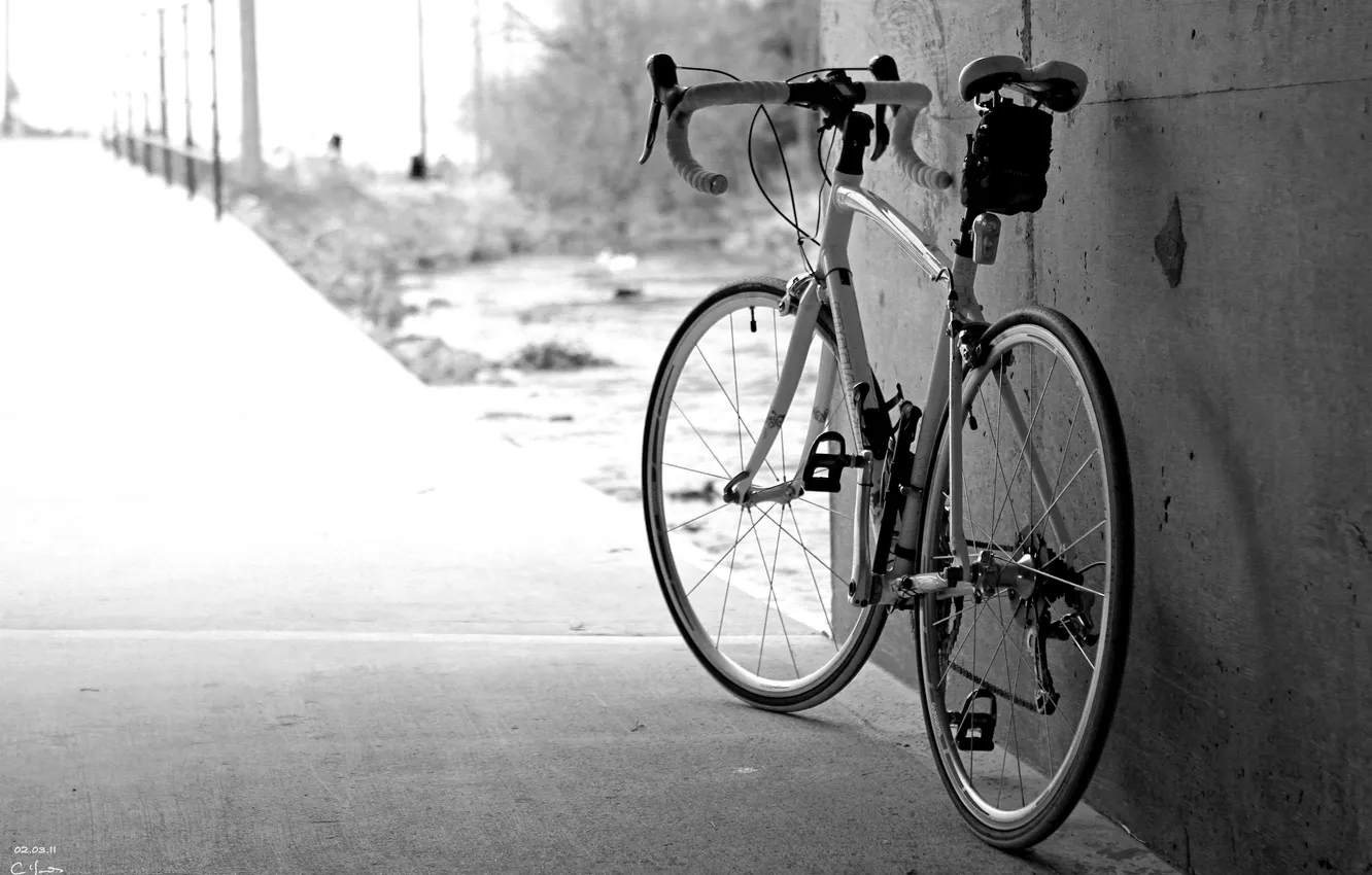 Фото обои дорога, город, road bike