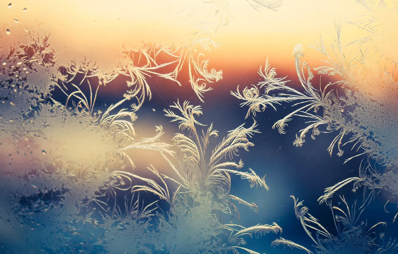 Фото обои зима, иней, стекло, узоры