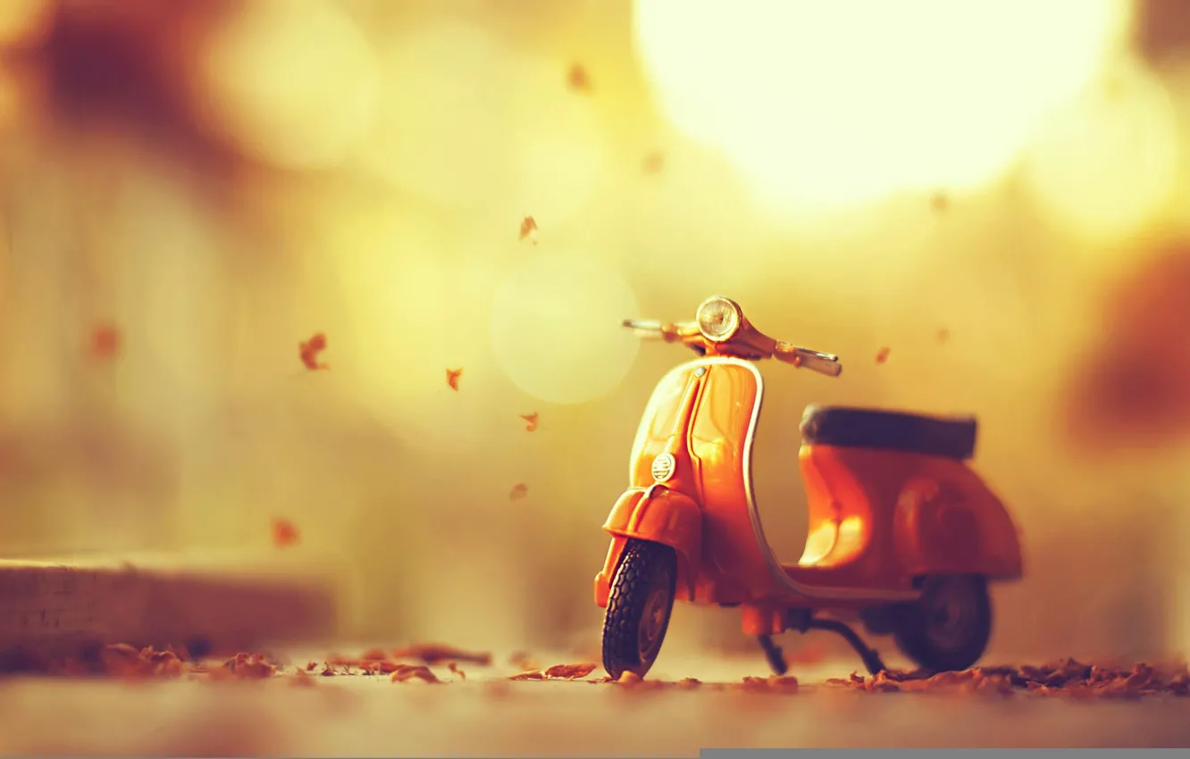 Фото обои листья, мопед, autumn, leaves, осенние, moped