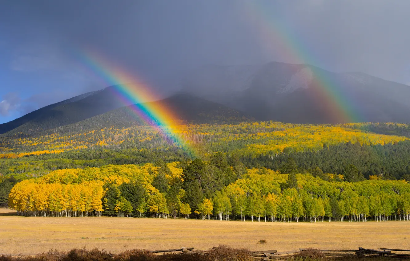 Фото обои осень, лес, небо, облака, горы, радуга
